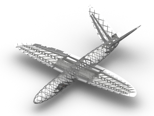 用于加强 UAV 设计的大地测量学结构，材质：PA 2200（来源：南安普顿大学（主要设计师）与 3T RPD Ltd（附加设计和制造）的合作）